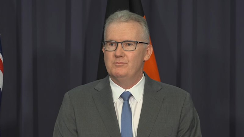 Visas granted to two more members of Iranian women's soccer team