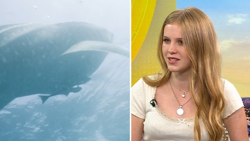 Whale Shark Jack star reveals underwater training schedule