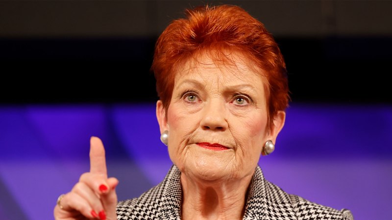Pauline Hanson Comments on Abortion Rates and Contraception Education