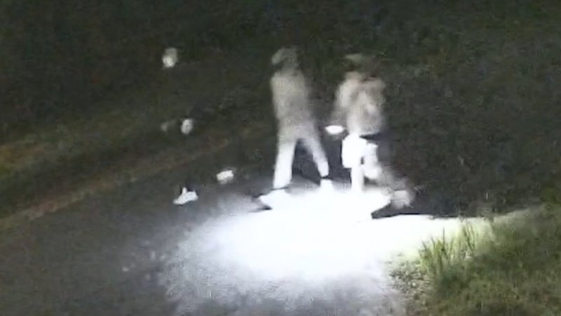 New CCTV released over alleged Chris Baghsarian murder