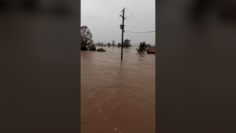Driver stranded on truck roof in Taree
