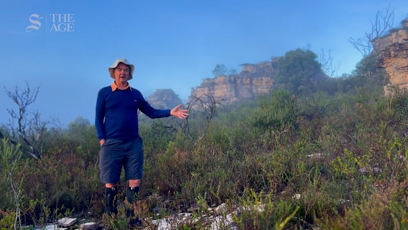 Controversial plans for glamping resort next to protected rock pagodas