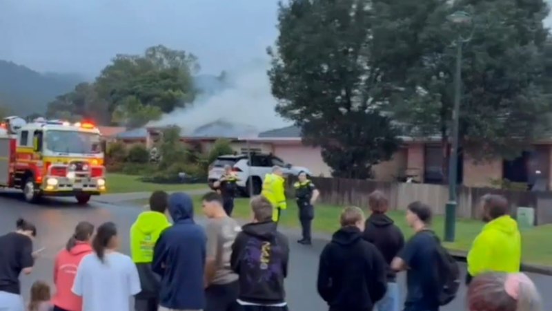 Police arrest alleged arsonist