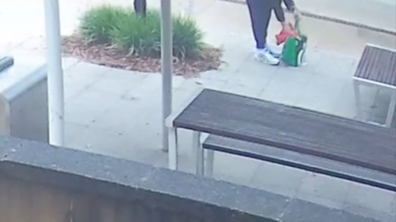Police investigate Sydney hammer attacks