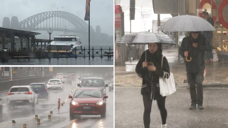 Sydney smashes rainfall record as wet weather continues