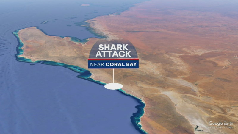 Man bitten by shark north of Perth