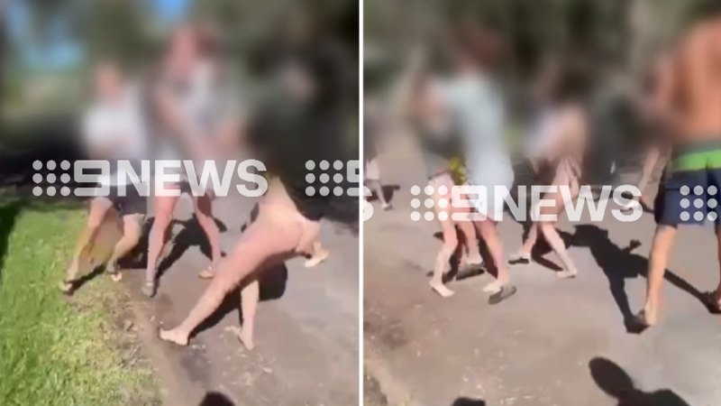 Group of youths allegedly involed in violent brawl at holiday park