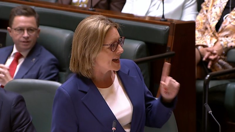 Victoria introduces 'adult time for adult crimes” laws into parliament