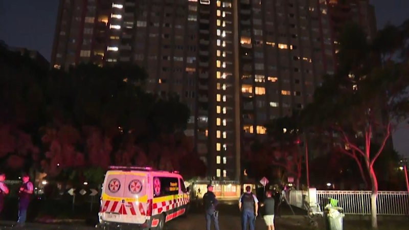 Man charged with domestic violence assault in Sydney