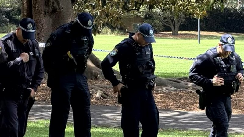 Man seen fleeing state parliament with replica gun