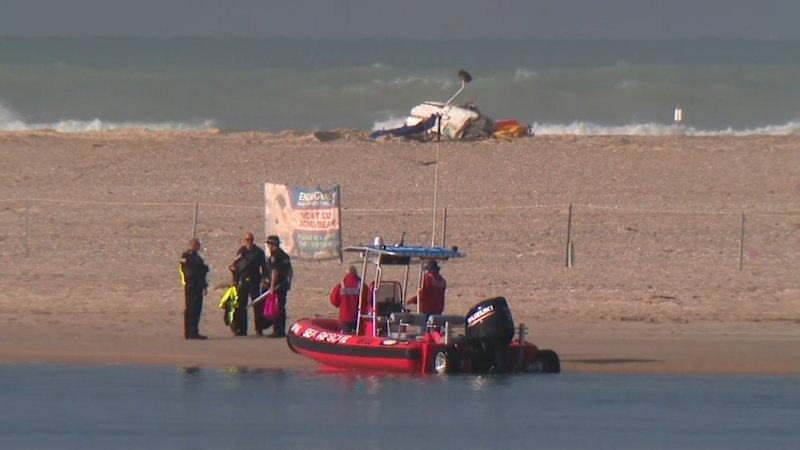 Pilot and two teenagers killed in light plane crash