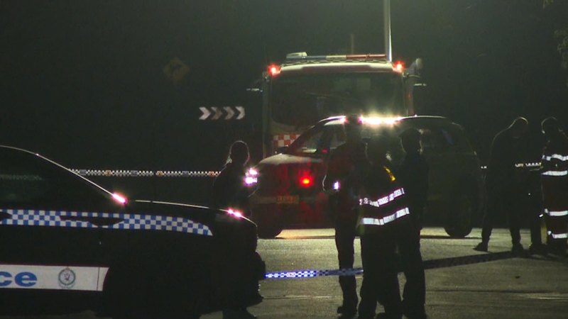 Man killed during suspected hit and run in Sydney