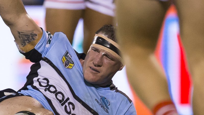 Paul Gallen to miss up to six Sharks games with knee injury