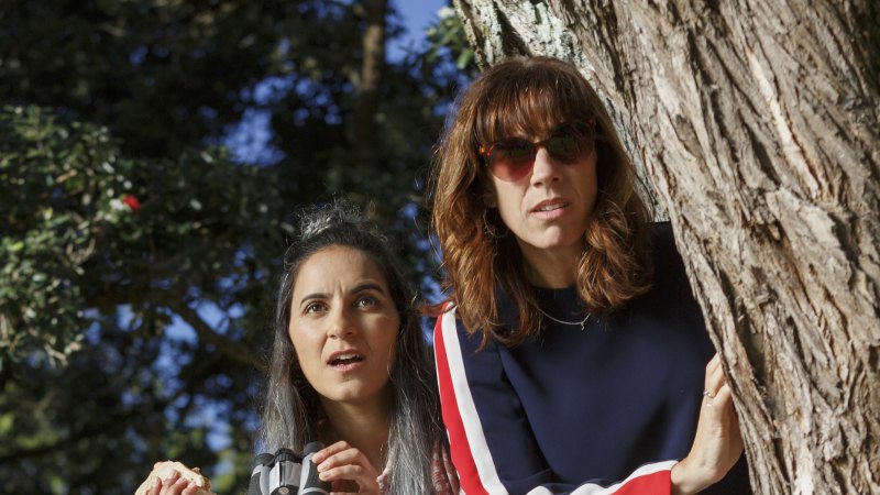 New Zealand break-up comedy to open Sydney Film Festival