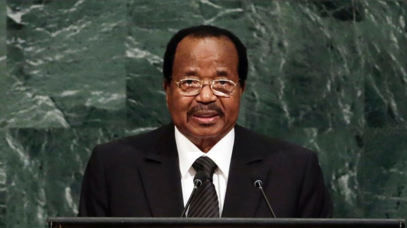 Video of women and children shot dead 'fabricated': Cameroon military