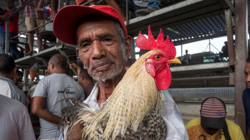 安い購入Rodney Cocks Lonely Planet Timor-leste 地図 | hh2.hu