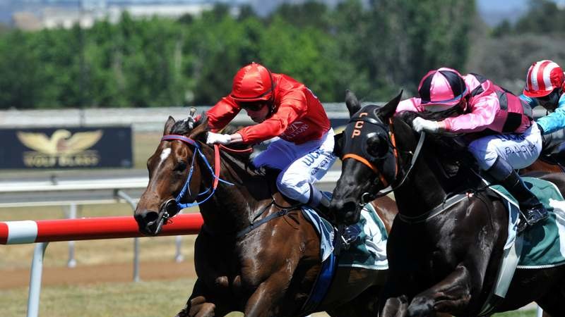 Canberra trainer Darryl Rolfe turning city slackers into country stars