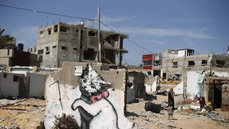 バンクシーBanksy Cat in Gaza エスタンプリトグラフ 7/150 Internet Cats: Banksy Kitten Highlights Gaza's Plight