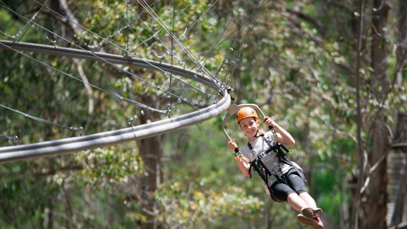 World s fastest roller coaster zip line The Crazy Ride Express