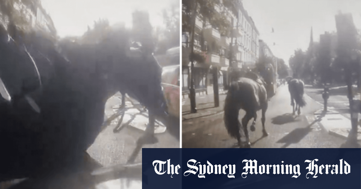 Military horses bolt through London again