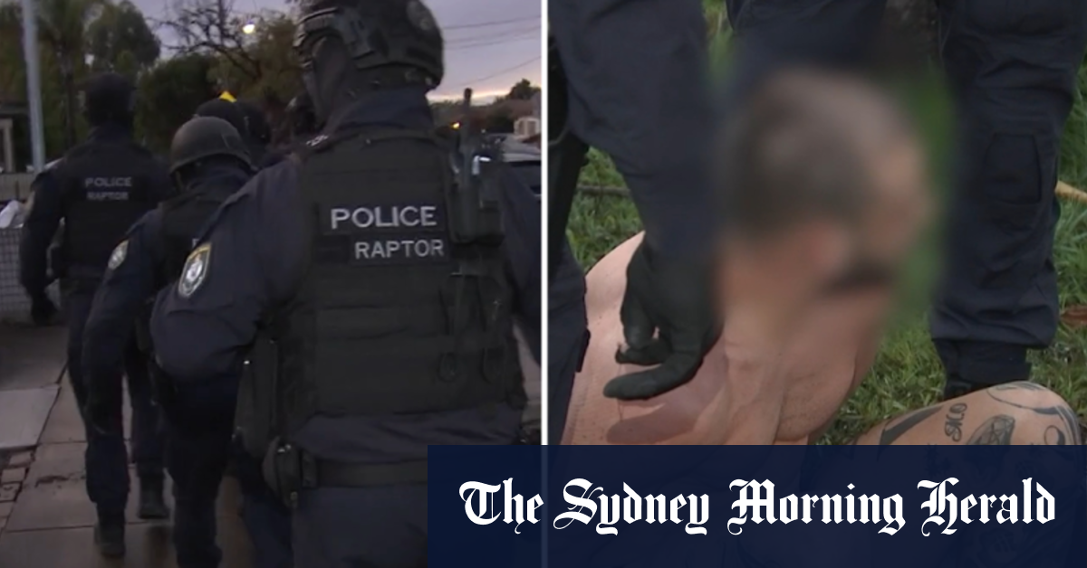 More than a dozen alleged Sydney gang members face court