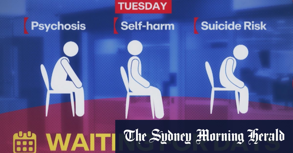 Exposed: 88-Hour Wait Times for Mental Health Patients in Australian Hospitals