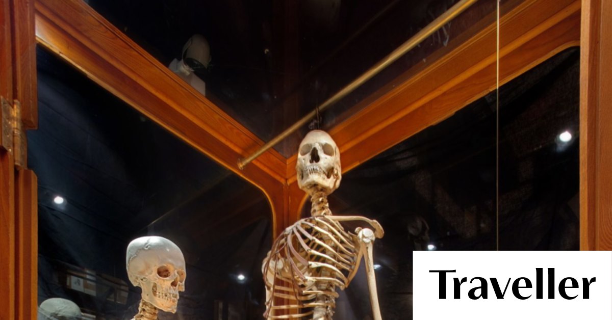 Philadelphia's medical Mutter Museum has an intriguing twist