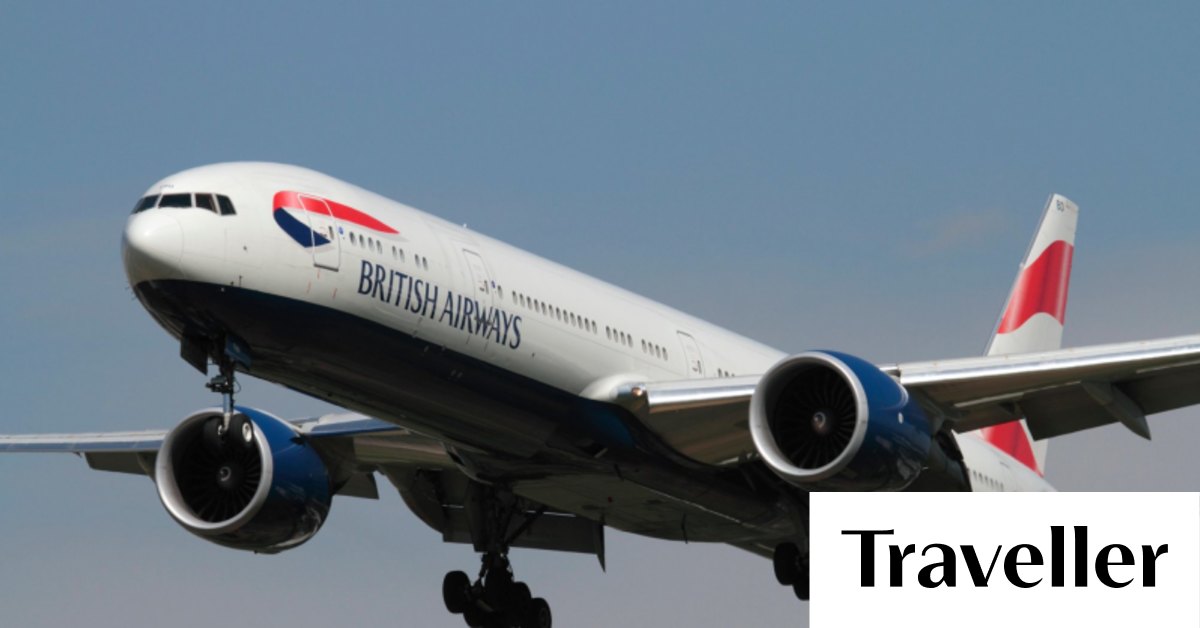 British airways dog transport sale