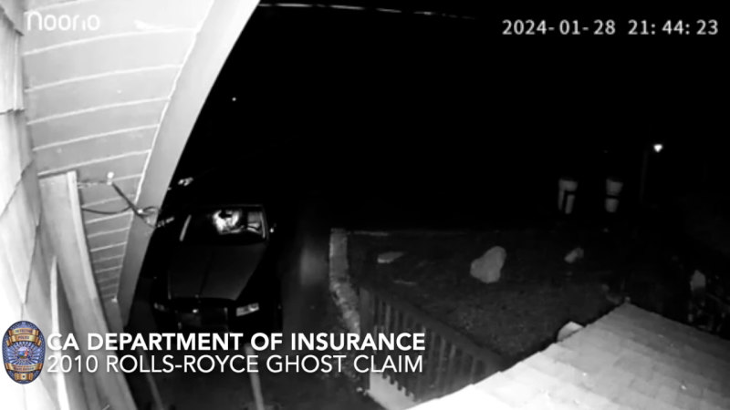 Fake bear attacks for insurance payouts