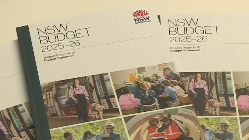 The winners and losers of the NSW budget