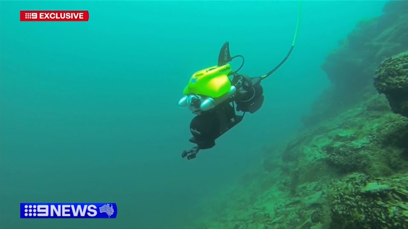 Underwater drones finally deployed to see damage caused by toxic algal bloom