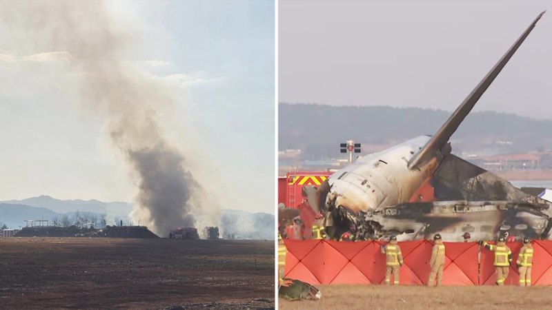 Two of the 181 people on board survived fiery plane crash at South Korean airport