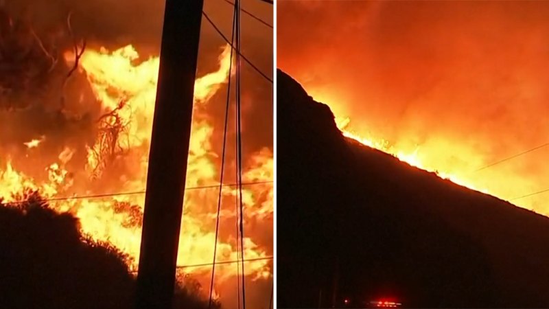 State of Emergency in Los Angeles as forest fires destroy part of city