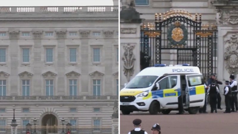 Man arrested as Buckingham Palace goes into lockdown