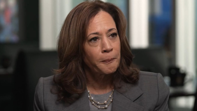 Kamala Harris gives first major interview as presidential nominee