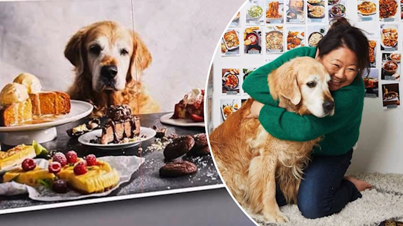 RecipeTin Eats founder shares the news Dozer has died