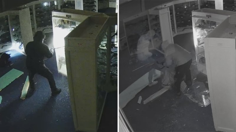 Police release CCTV images of gun thefts