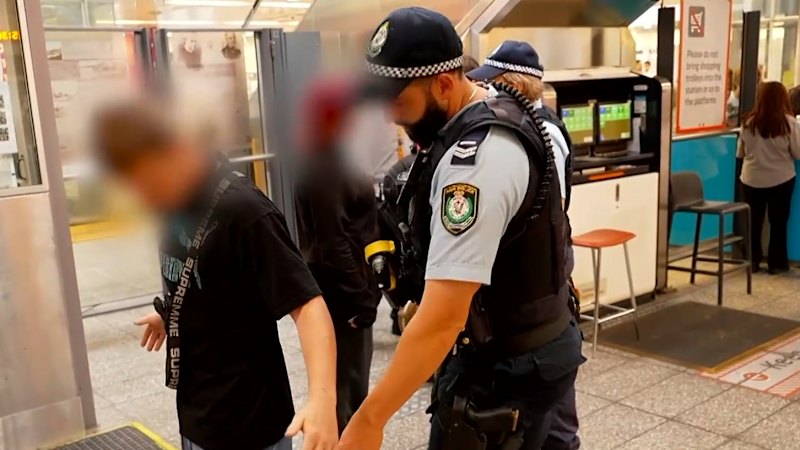 Hundreds of charges laid in two-day Sydney anti-crime blitz