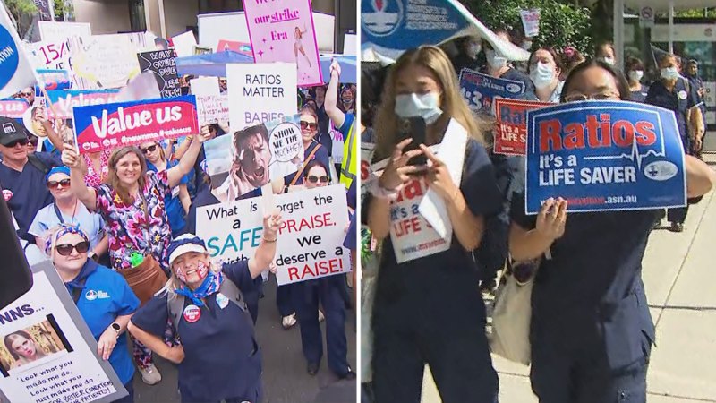 Nurses and midwives across NSW start 24-hour strike