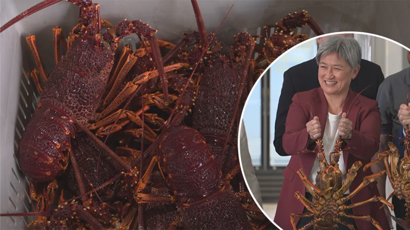 Wong hopeful lobster trade will begin soon