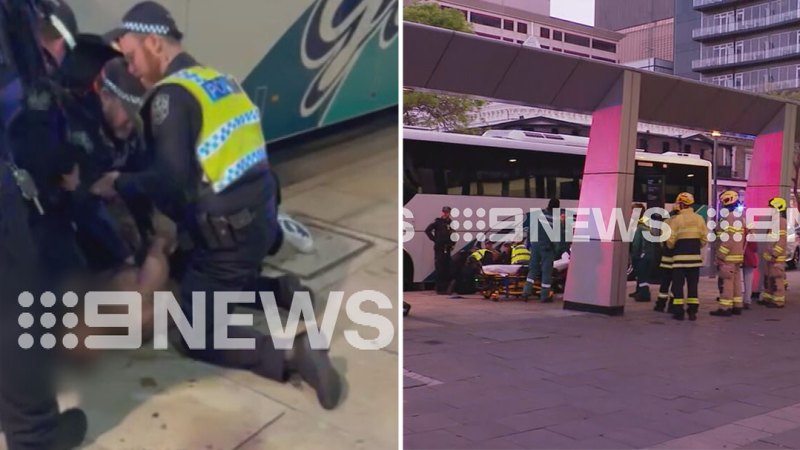 Man arrested after allegedly assaulting police officers and dog trying to take bus