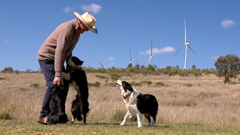 Largest wind farm in southern hemisphere powers up