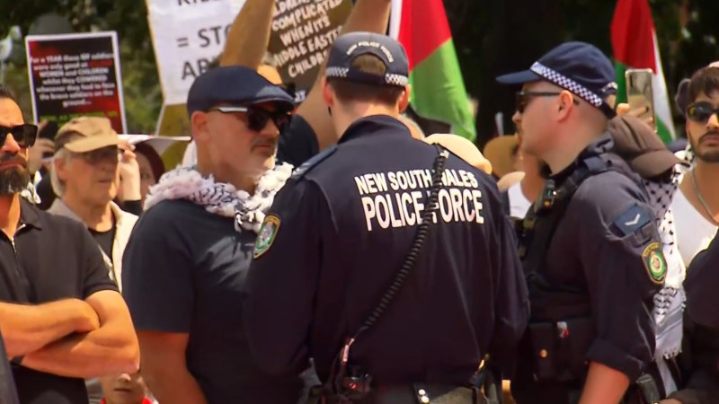 Restaurateur pleads guilty to displaying swastika at pro-Palestinian rally