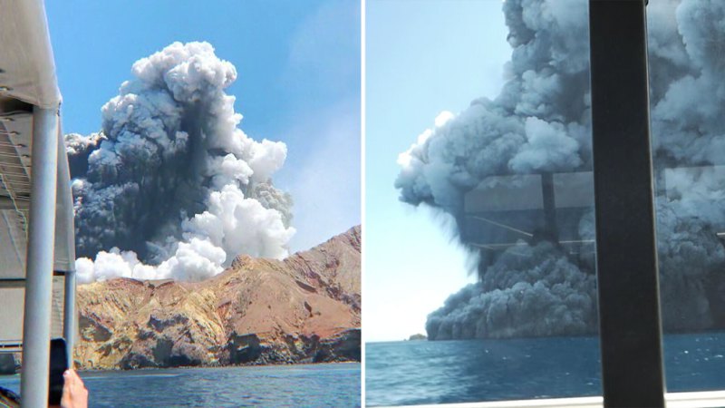 Whakaari/White Island owners launch appeal of criminal conviction