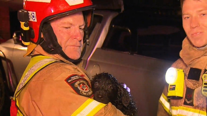 Brave neighbours rescue wheelchair-bound man from fire