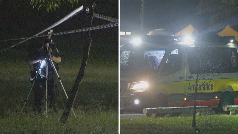 Man dies after park stabbing in Brisbane