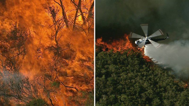 Crews work overnight as bushfire burns through Sydney’s north