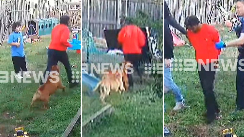 Family dog chases down dangerous fugitive after violent machete attack