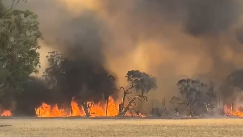 Out of control bushfire in Victoria ‘could burn for weeks’