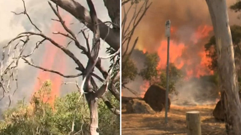 Fears fire south of Adelaide was deliberately lit